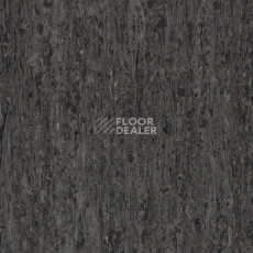 Линолеум Tarkett iq Optima NEUTRAL BLACK 0244 фото 1 | FLOORDEALER